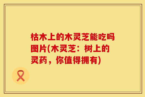 枯木上的木灵芝能吃吗图片(木灵芝：树上的灵药，你值得拥有)