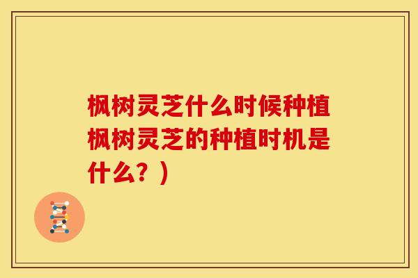 枫树灵芝什么时候种植枫树灵芝的种植时机是什么？)