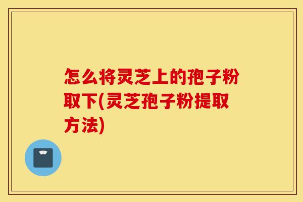 怎么将灵芝上的孢子粉取下(灵芝孢子粉提取方法)
