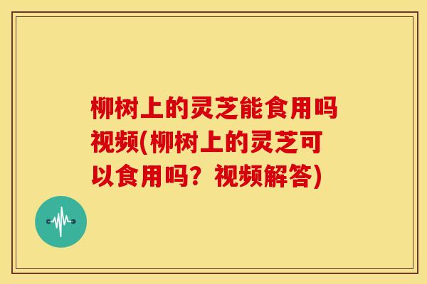 柳树上的灵芝能食用吗视频(柳树上的灵芝可以食用吗？视频解答)