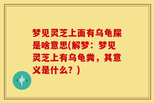 梦见灵芝上面有乌龟屎是啥意思(解梦：梦见灵芝上有乌龟粪，其意义是什么？)