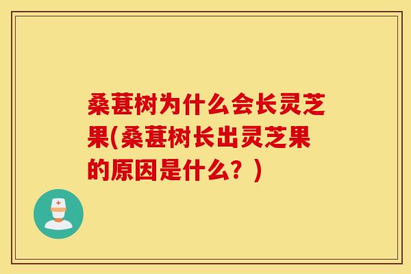 桑葚树为什么会长灵芝果(桑葚树长出灵芝果的原因是什么?) 桑葚树为什么会长灵芝果(桑葚树长出灵芝果的原因是什么?)