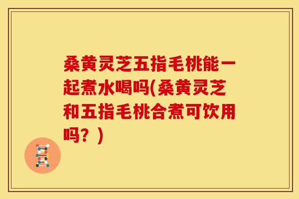 桑黄灵芝五指毛桃能一起煮水喝吗(桑黄灵芝和五指毛桃合煮可饮用吗？)