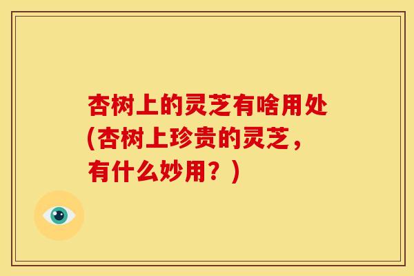 杏树上的灵芝有啥用处(杏树上珍贵的灵芝，有什么妙用？)