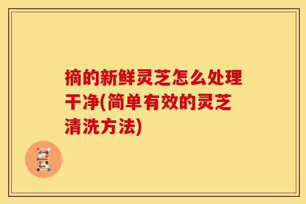 摘的新鲜灵芝怎么处理干净(简单有效的灵芝清洗方法)