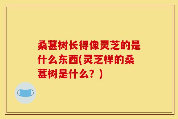 桑葚树长得像灵芝的是什么东西(灵芝样的桑葚树是什么？)