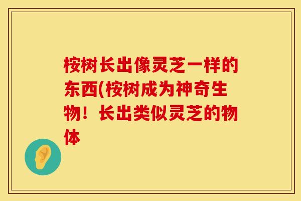 桉树长出像灵芝一样的东西(桉树成为神奇生物！长出类似灵芝的物体