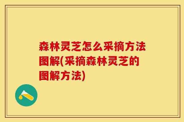 森林灵芝怎么采摘方法图解(采摘森林灵芝的图解方法)