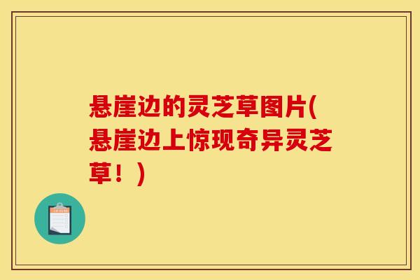 悬崖边的灵芝草图片(悬崖边上惊现奇异灵芝草！)