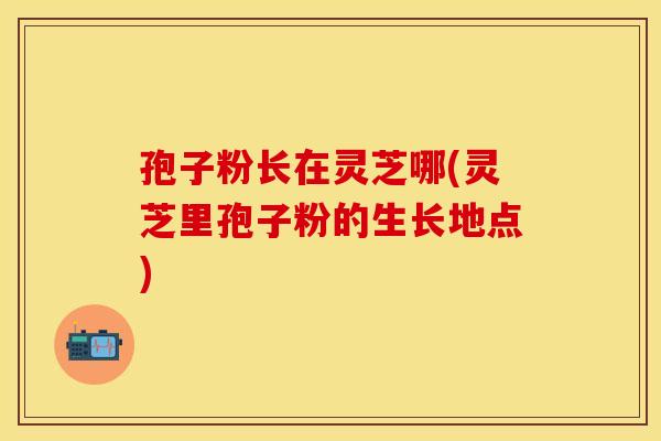 孢子粉长在灵芝哪(灵芝里孢子粉的生长地点)