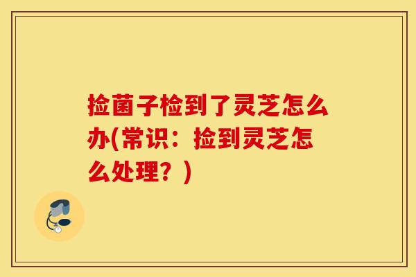 捡菌子检到了灵芝怎么办(常识:捡到灵芝怎么处理?) 捡菌子检到了灵芝怎么办(常识:捡到灵芝怎么处理?)