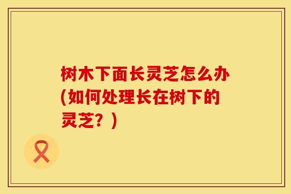 树木下面长灵芝怎么办(如何处理长在树下的灵芝？)