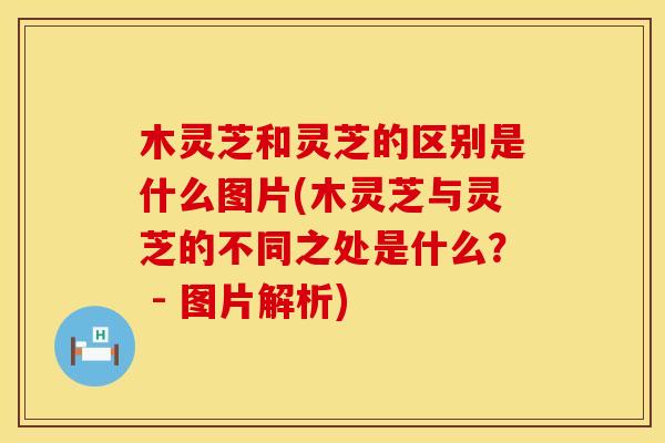 木灵芝和灵芝的区别是什么图片(木灵芝与灵芝的不同之处是什么？ - 图片解析)