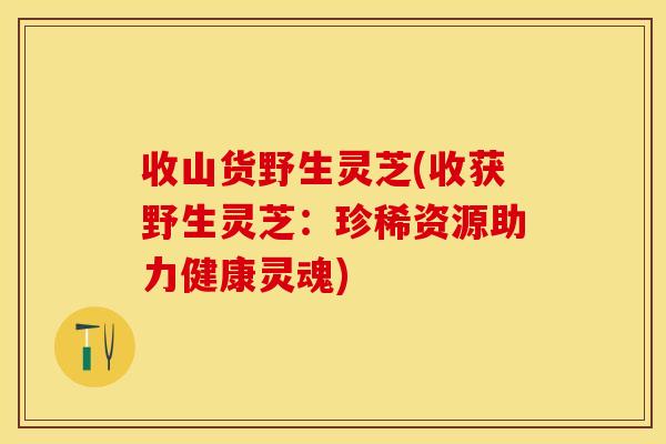 收山货野生灵芝(收获野生灵芝：珍稀资源助力健康灵魂)