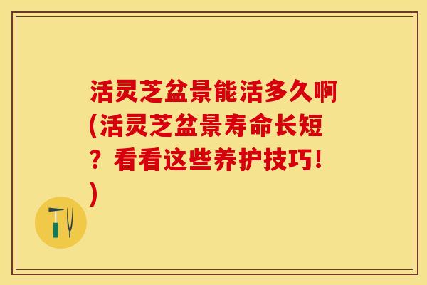 活灵芝盆景能活多久啊(活灵芝盆景寿命长短？看看这些养护技巧！)