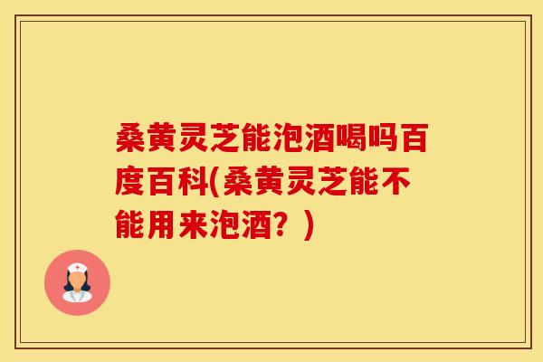 桑黄灵芝能泡酒喝吗百度百科(桑黄灵芝能不能用来泡酒？)