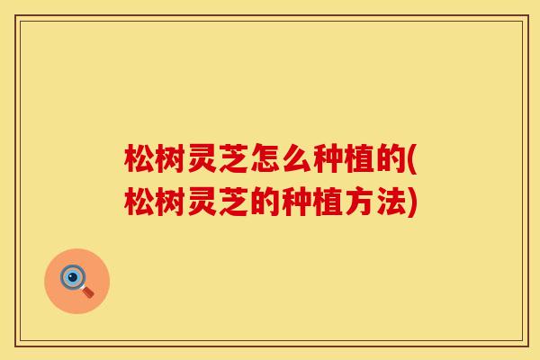 松树灵芝怎么种植的(松树灵芝的种植方法)