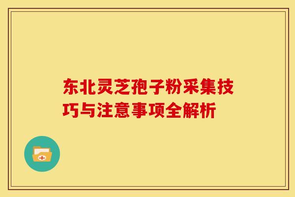 东北灵芝孢子粉采集技巧与注意事项全解析 东北灵芝孢子粉采集技巧与注意事项全解析
