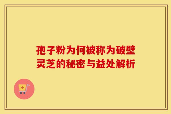 孢子粉为何被称为破壁灵芝的秘密与益处解析