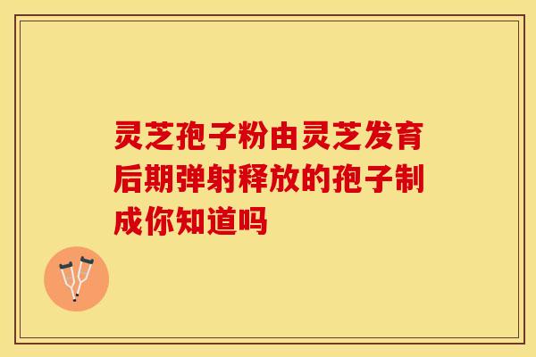 灵芝孢子粉由灵芝发育后期弹射释放的孢子制成你知道吗