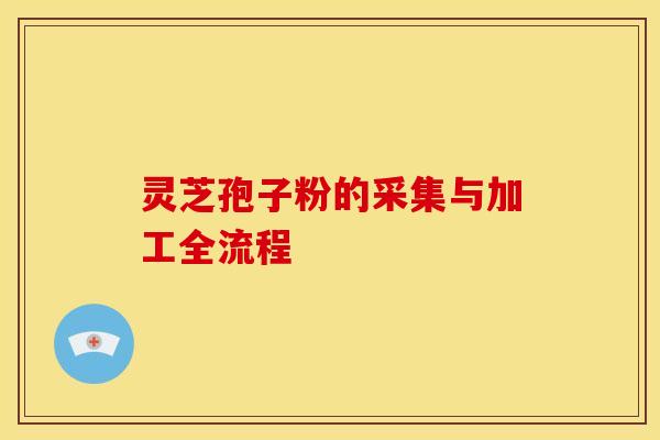 灵芝孢子粉的采集与加工全流程