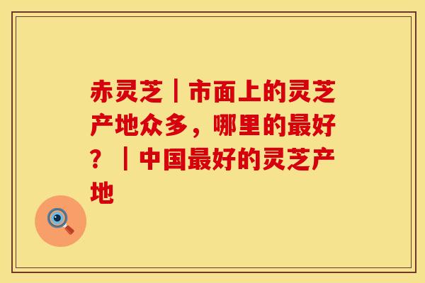 赤灵芝｜市面上的灵芝产地众多，哪里的最好？｜中国最好的灵芝产地