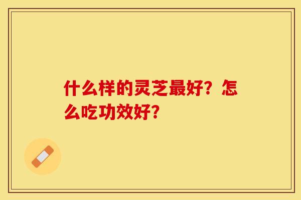 什么样的灵芝最好？怎么吃功效好？
