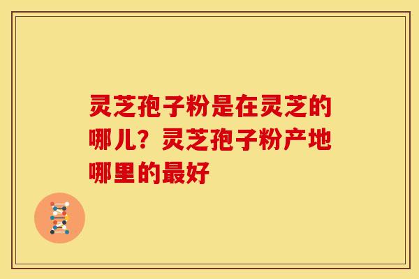 灵芝孢子粉是在灵芝的哪儿？灵芝孢子粉产地哪里的最好
