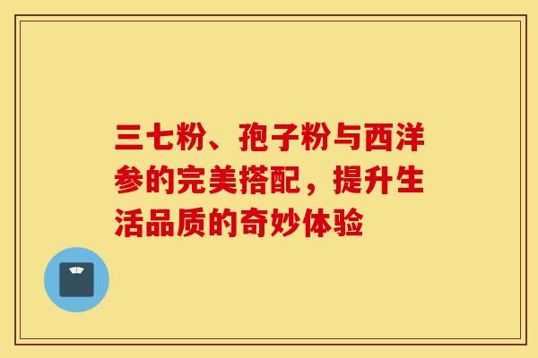 三七粉、孢子粉与西洋参的完美搭配，提升生活品质的奇妙体验