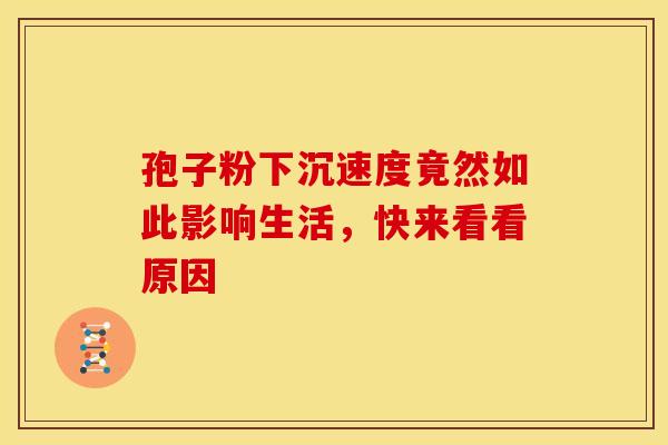 孢子粉下沉速度竟然如此影响生活，快来看看原因
