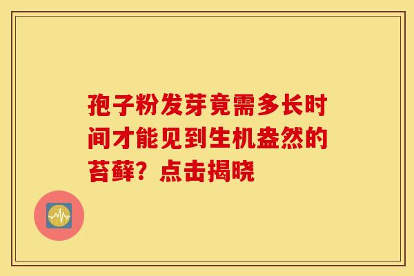 孢子粉发芽竟需多长时间才能见到生机盎然的苔藓？点击揭晓