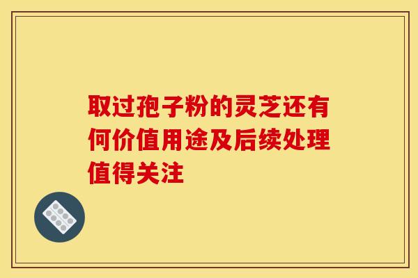 取过孢子粉的灵芝还有何价值用途及后续处理值得关注