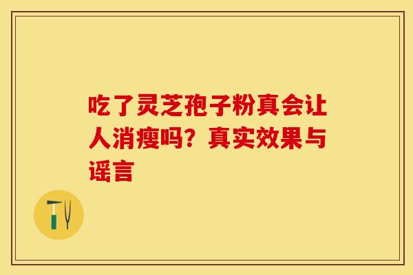 吃了灵芝孢子粉真会让人消瘦吗？真实效果与谣言