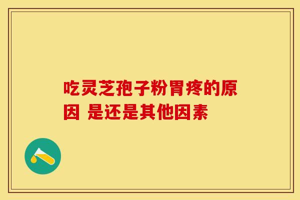 吃灵芝孢子粉胃疼的原因 是还是其他因素