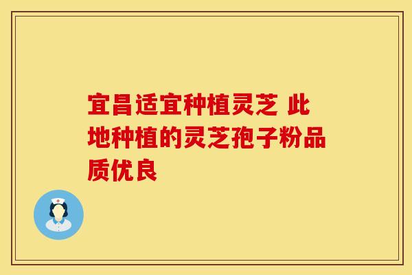 宜昌适宜种植灵芝 此地种植的灵芝孢子粉品质优良