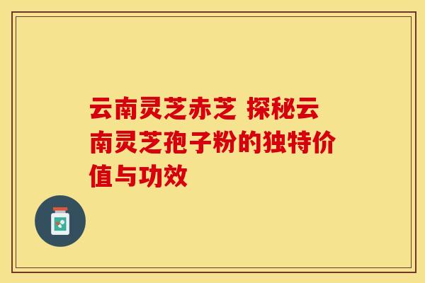 云南灵芝赤芝 探秘云南灵芝孢子粉的独特价值与功效