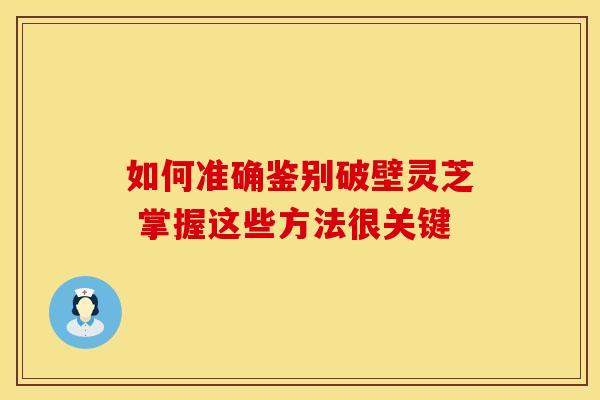 如何准确鉴别破壁灵芝 掌握这些方法很关键