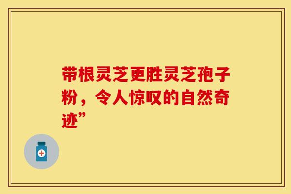 带根灵芝更胜灵芝孢子粉，令人惊叹的自然奇迹”