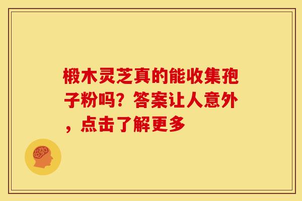 椴木灵芝真的能收集孢子粉吗？答案让人意外，点击了解更多