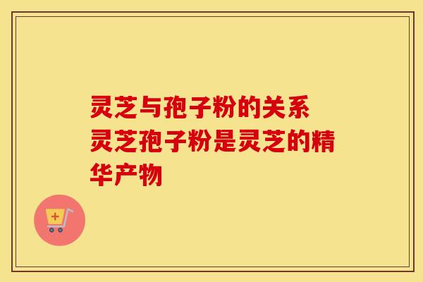 灵芝与孢子粉的关系 灵芝孢子粉是灵芝的精华产物