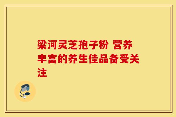 梁河灵芝孢子粉 营养丰富的养生佳品备受关注